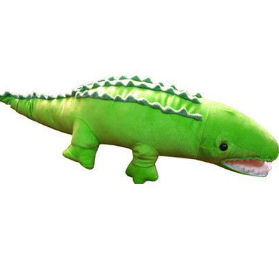 Crocodile