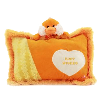 Fun Pillow Duck