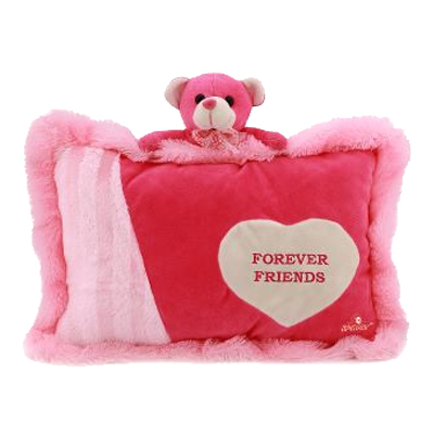 Fun Pillow Teddy