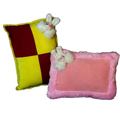 Recti & Combi Pillow