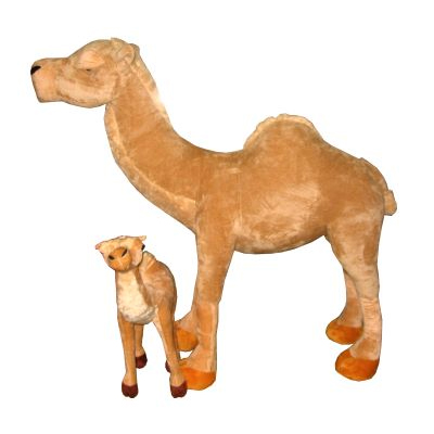Standing Camel
